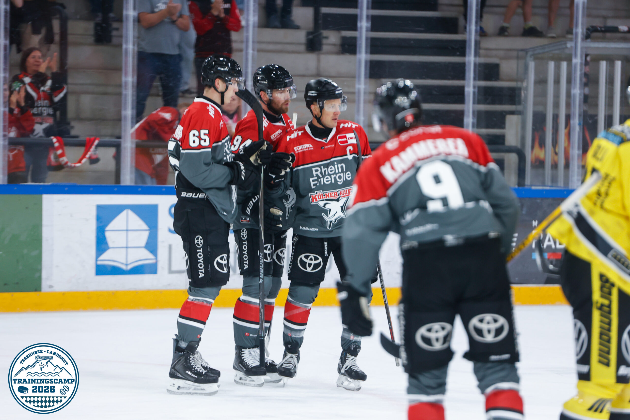 4:0-Erfolg im Test gegen die Krefeld Pinguine