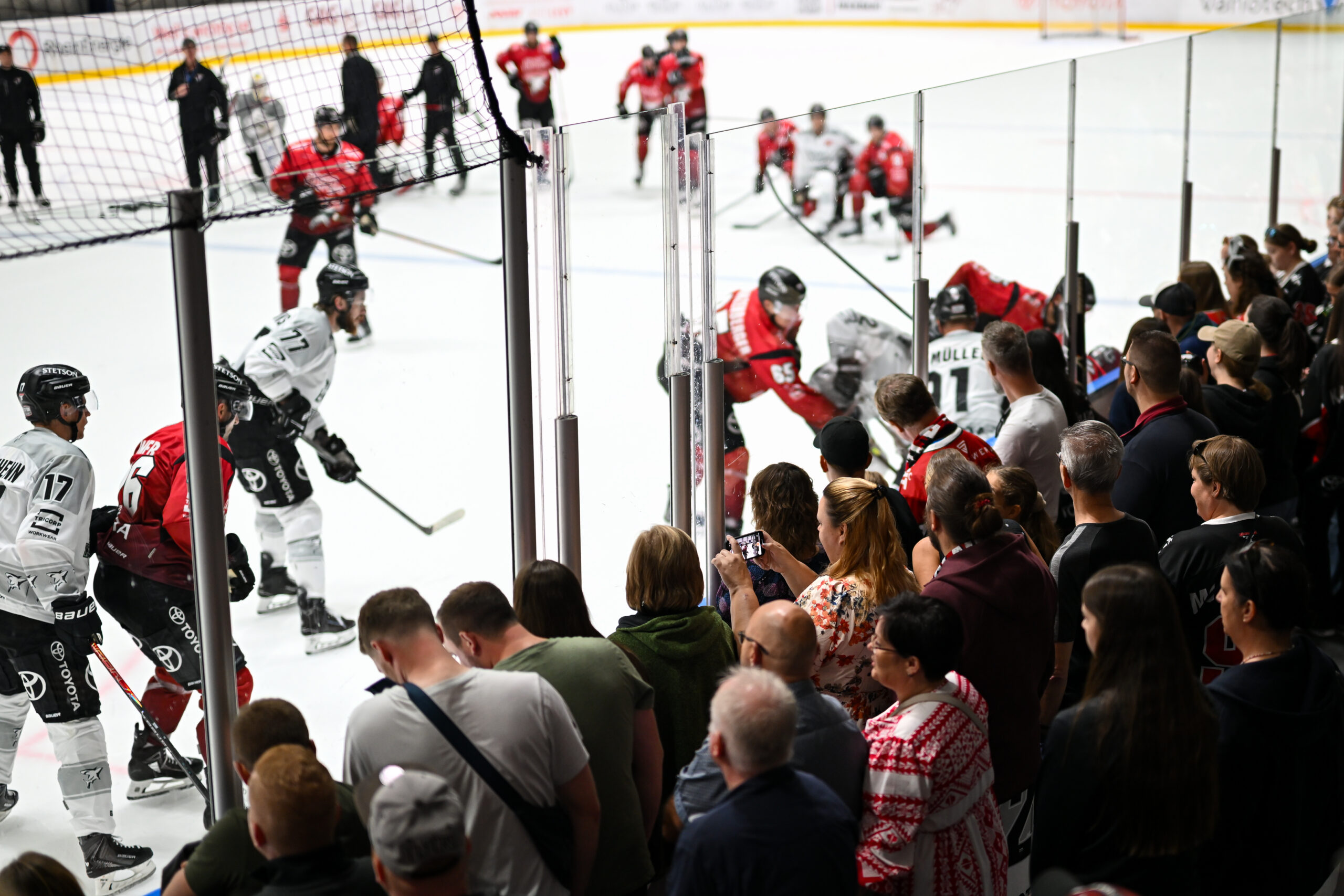 Alle Infos zum öffentlichen Trainingsauftakt am Sonntag im Haie-Zentrum