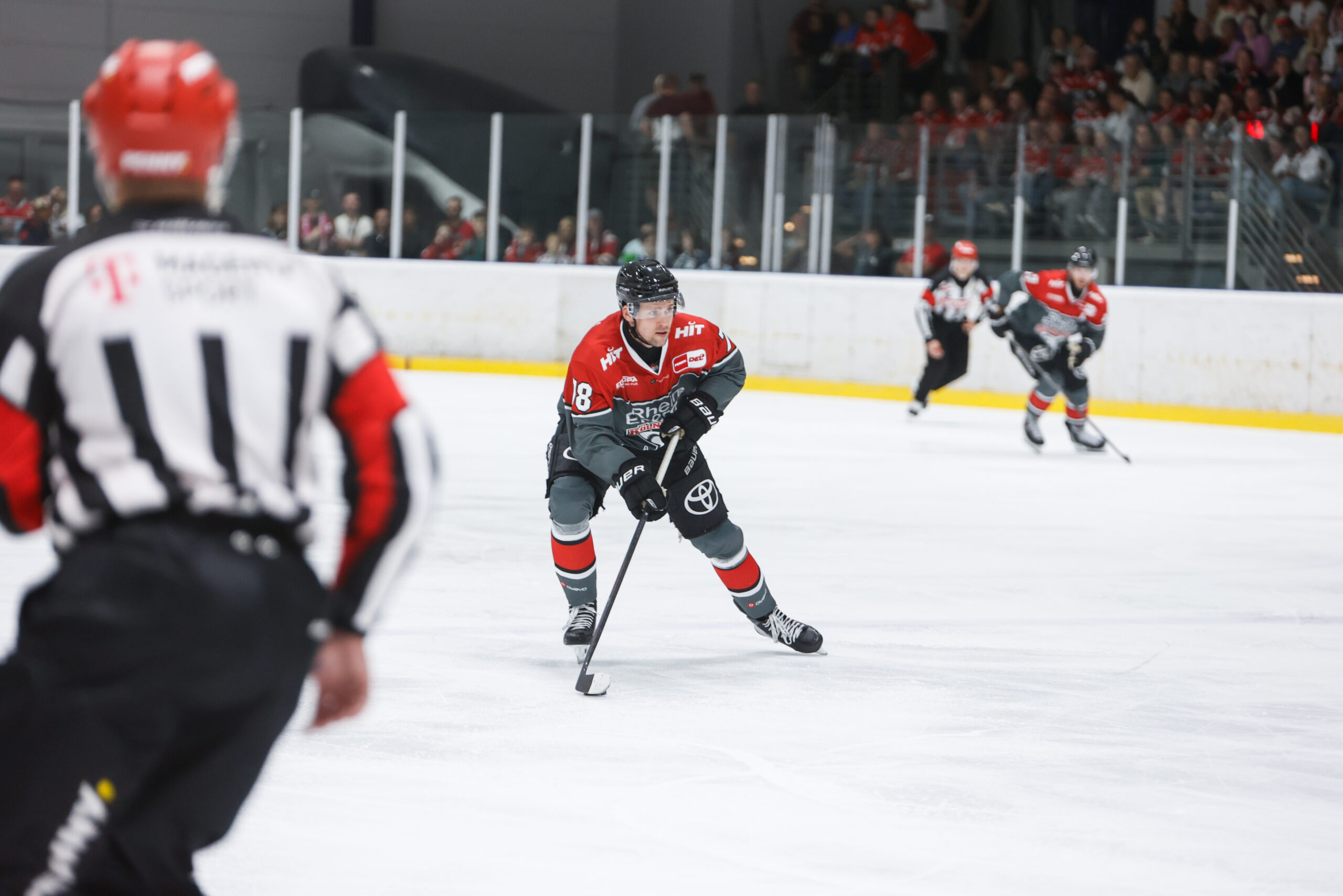 Abschließende Testspiele am Wochenende - Haie treffen auf Frankfurt und Tilburg
