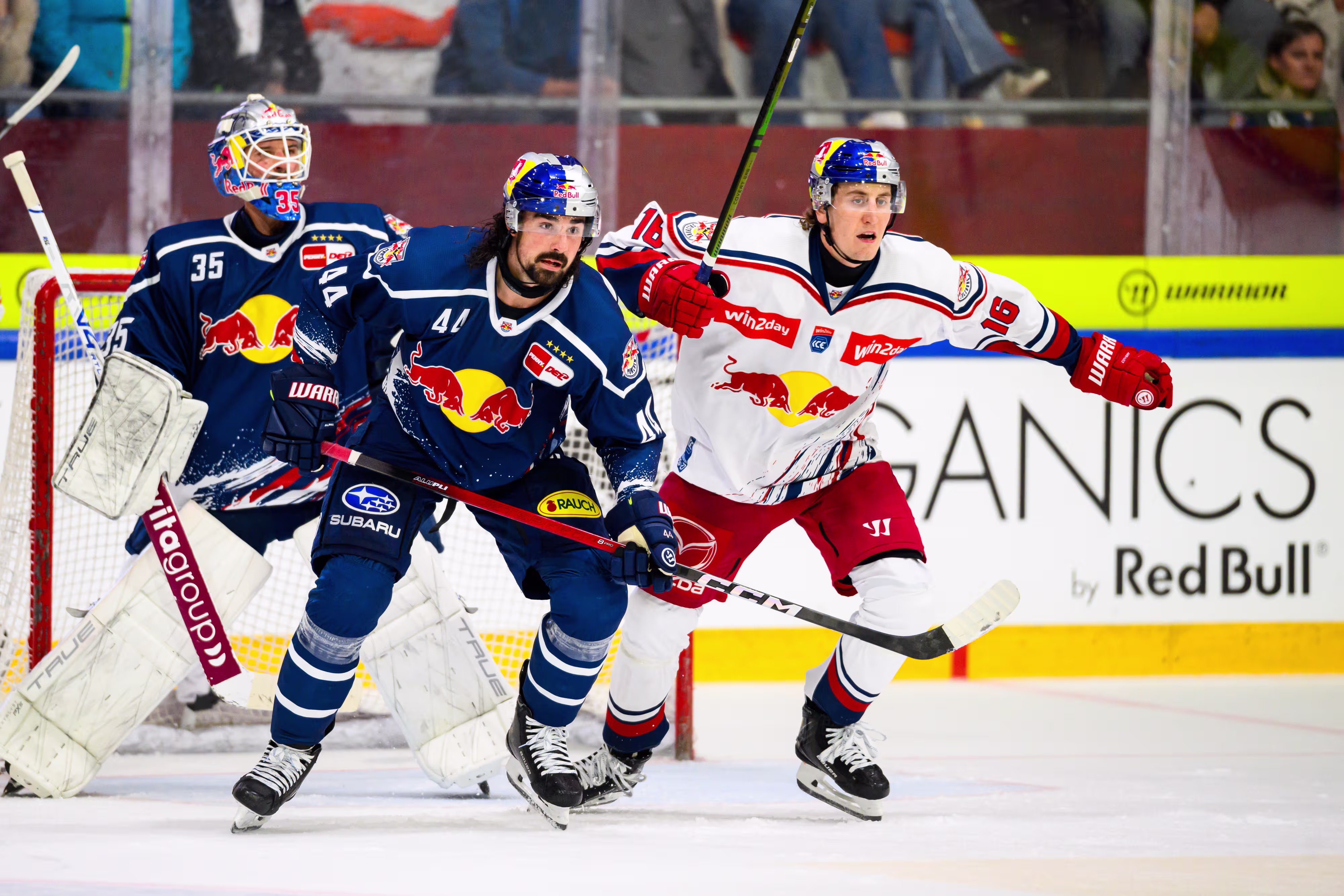 Red Bulls Salute: EHC Red Bull München verliert gegen den EC Red Bull Salzburg