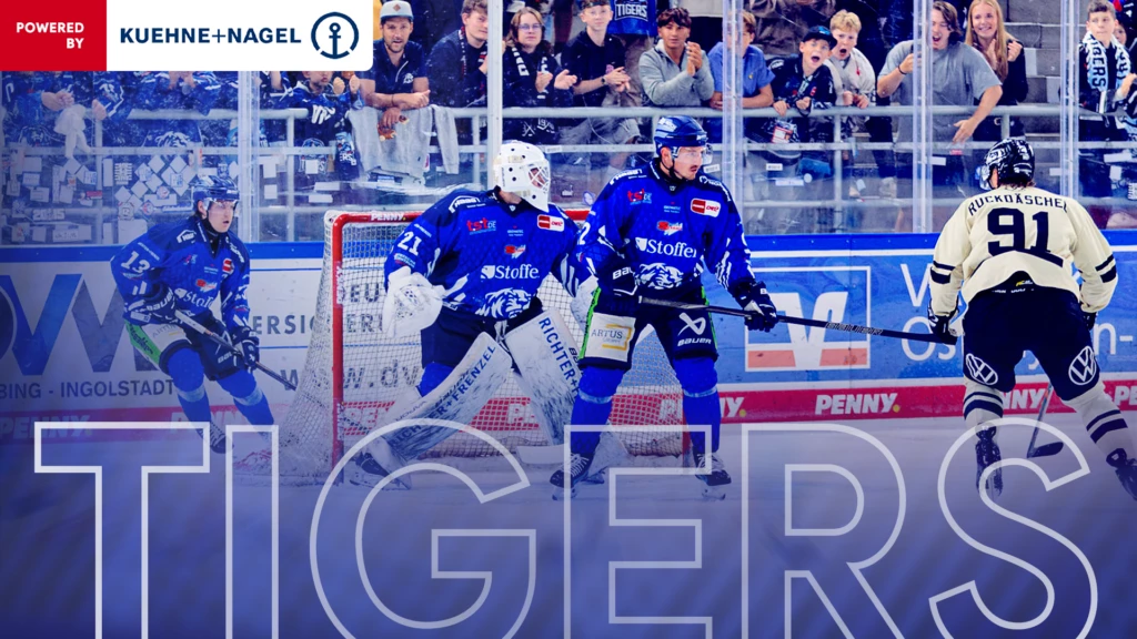Straubing Tigers unterliegen im Finale des Gäubodencups